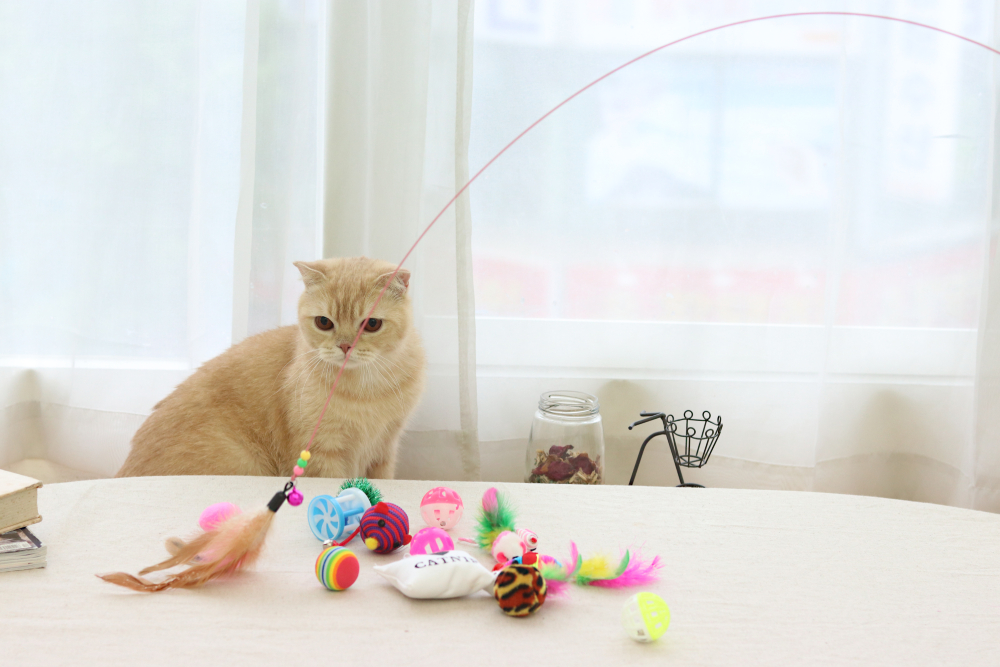 Interactive Cat Toy Fishing Rod, Pet Cat Teaser Toys, Realistic Fish Shape  Retractable Design Cat Stick Toy