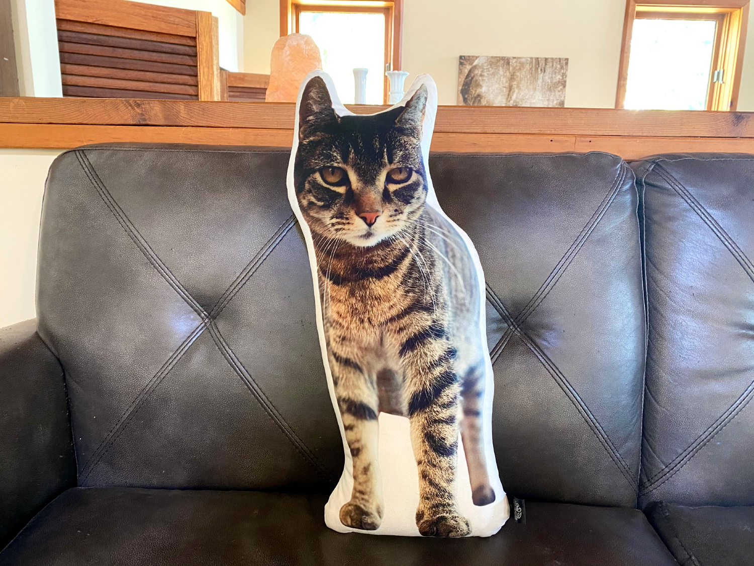 All About Vibe Custom Cat Pillow - mojave's pillow