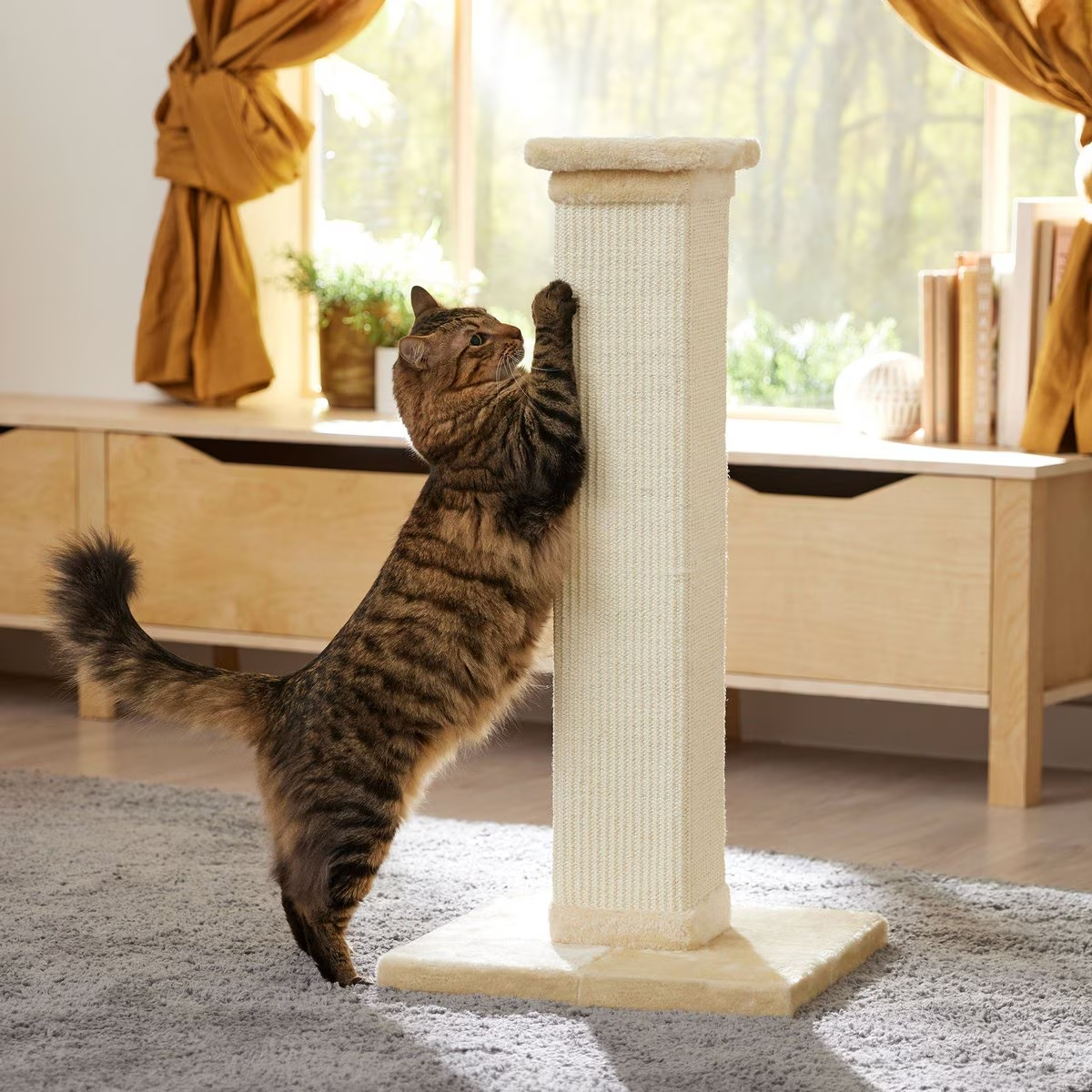 Frisco 33.5-in Sisal Cat Scratching Post new