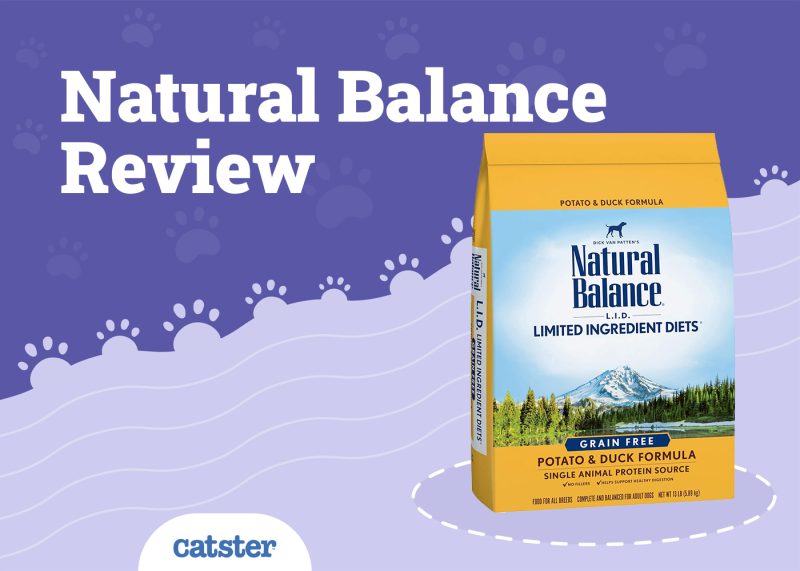 Natural Balance Cat Food Review