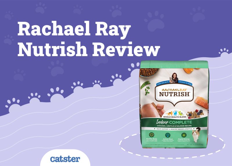Rachael Ray Nutrish Cat Food Review