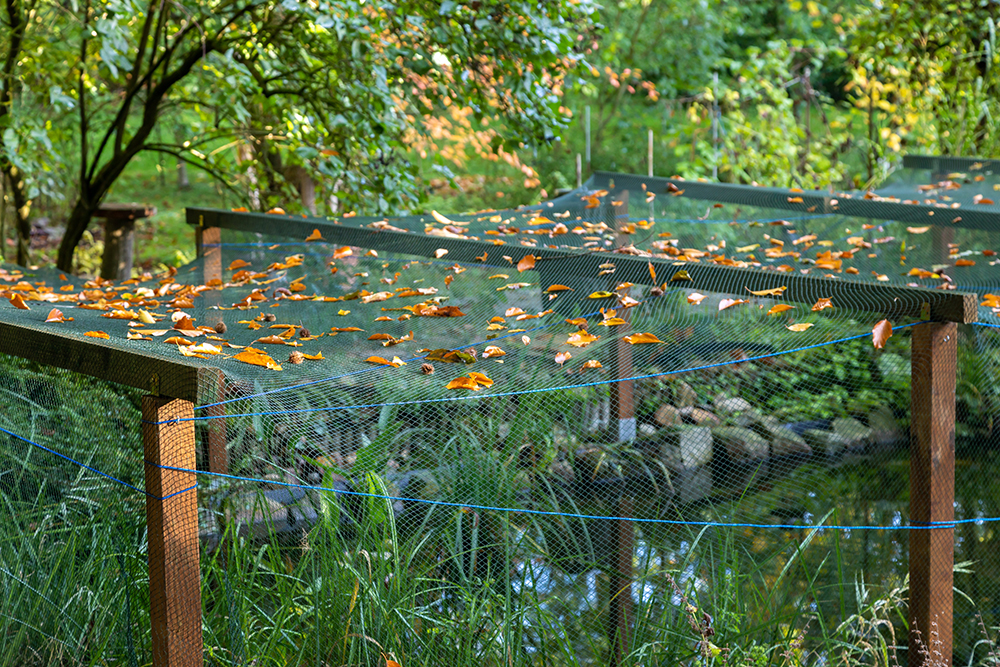 garden and pond covered with bird net