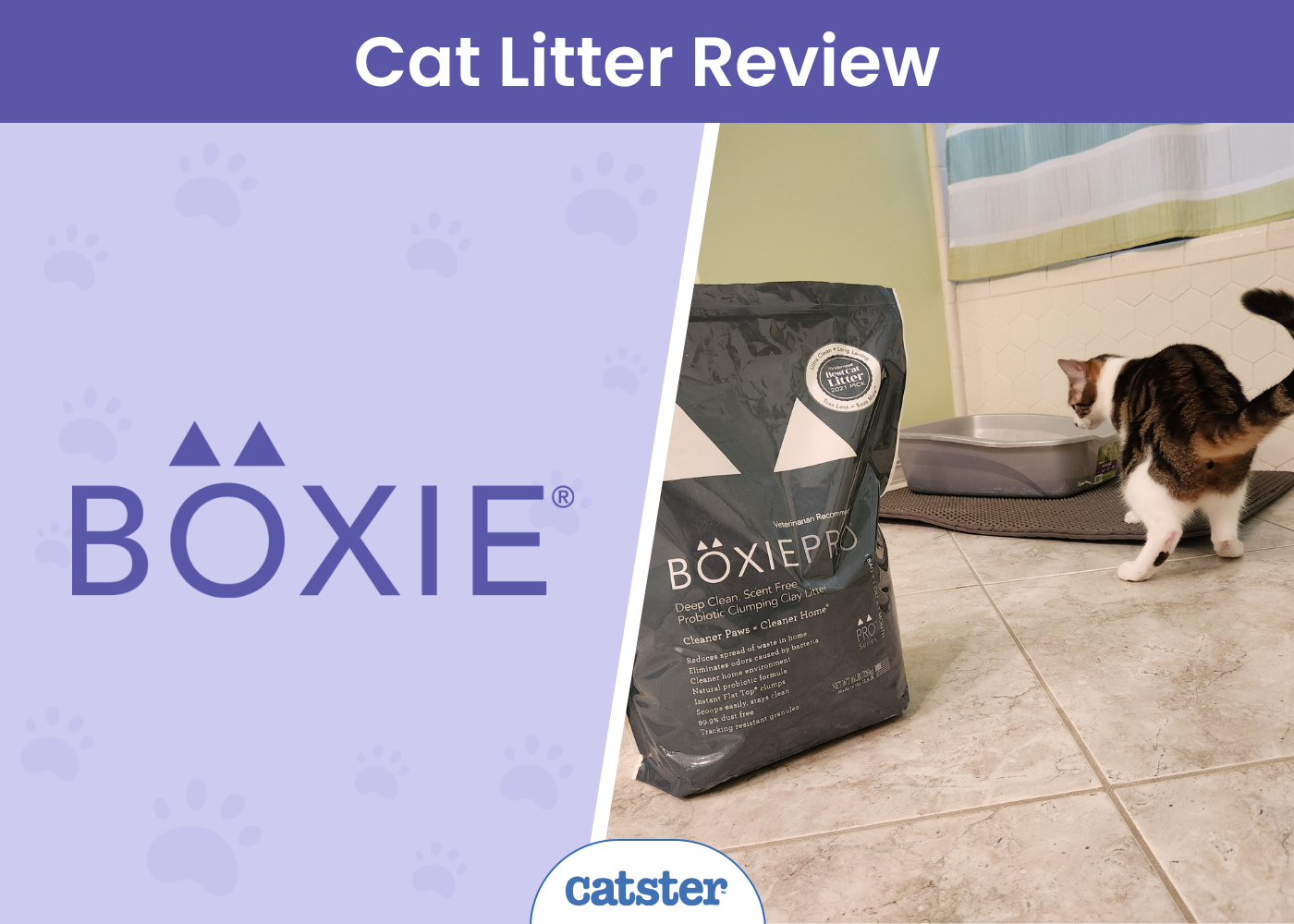 Boxie Cat Litter