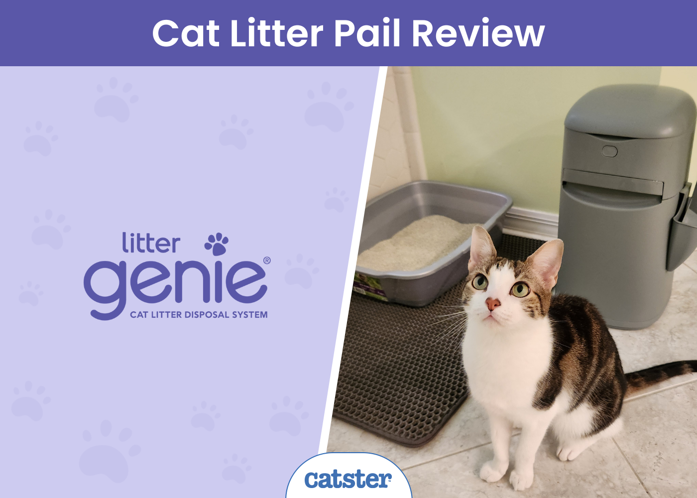 Litter Genie Easy Roll Pail Review 2024: Our Expert’s Opinion