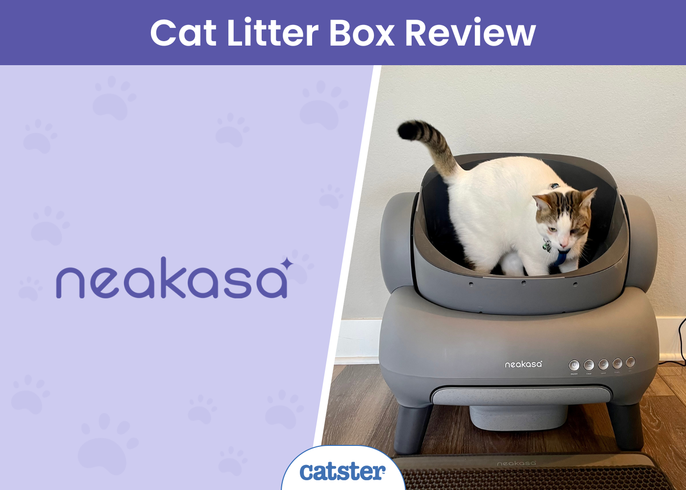 Neakasa M1 Open Top Self-Cleaning Litter Box Review 2024: A Detailed Look
