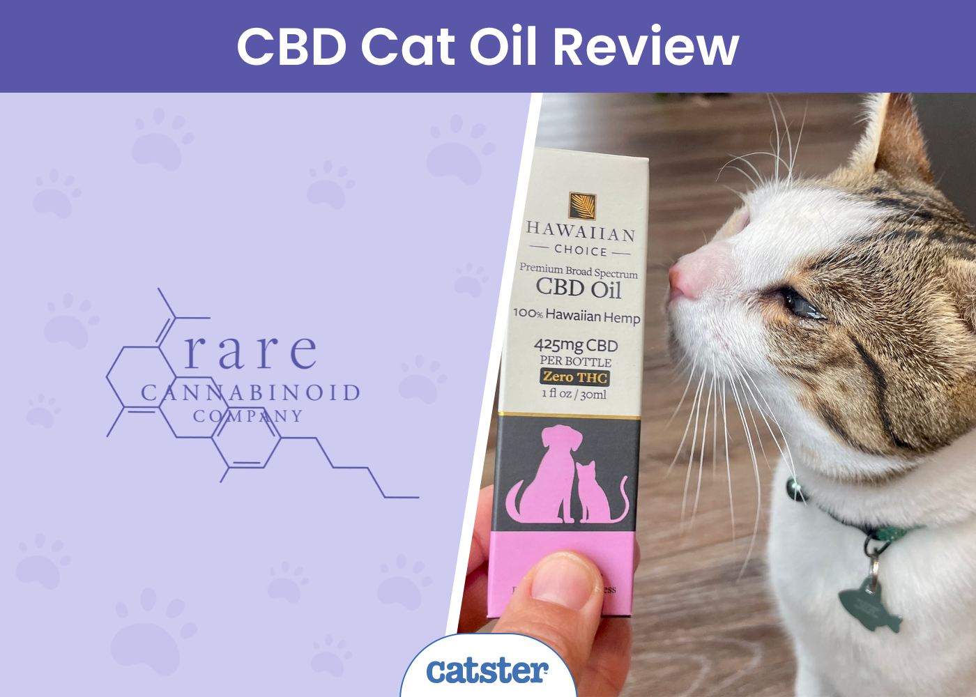 Rare Cannabinoid CBD Cat Oil