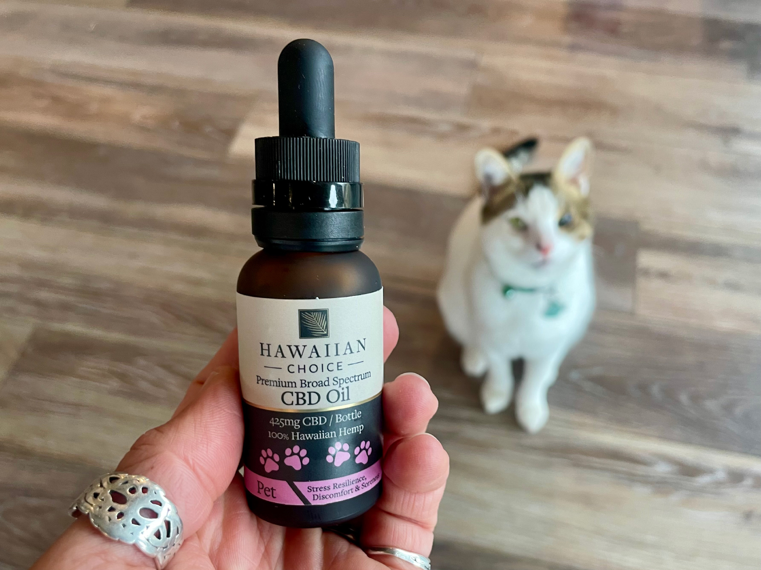 Rare Cannabinoid CBD Cat Oil - product bottle and makoa in the background