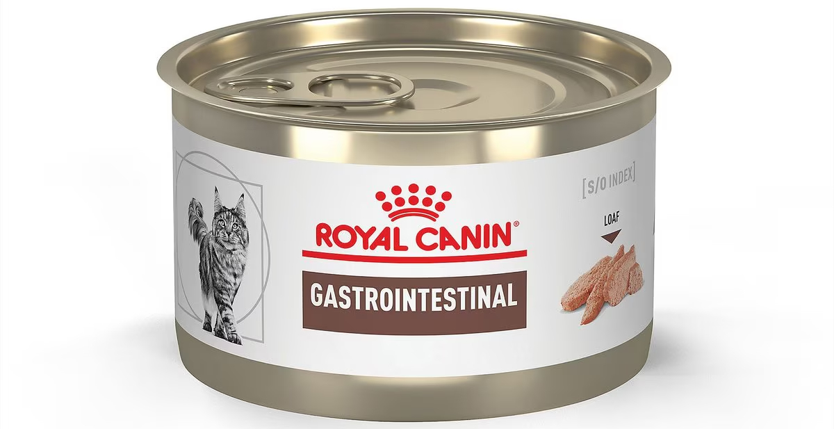 Royal Canin Veterinary Diet Adult Gastrointestinal Loaf in Sauce Canned Cat Food