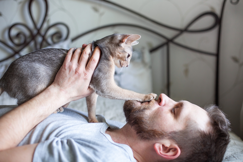 Why Does My Cat Put His Paw on My Mouth? 6 Possible Reasons