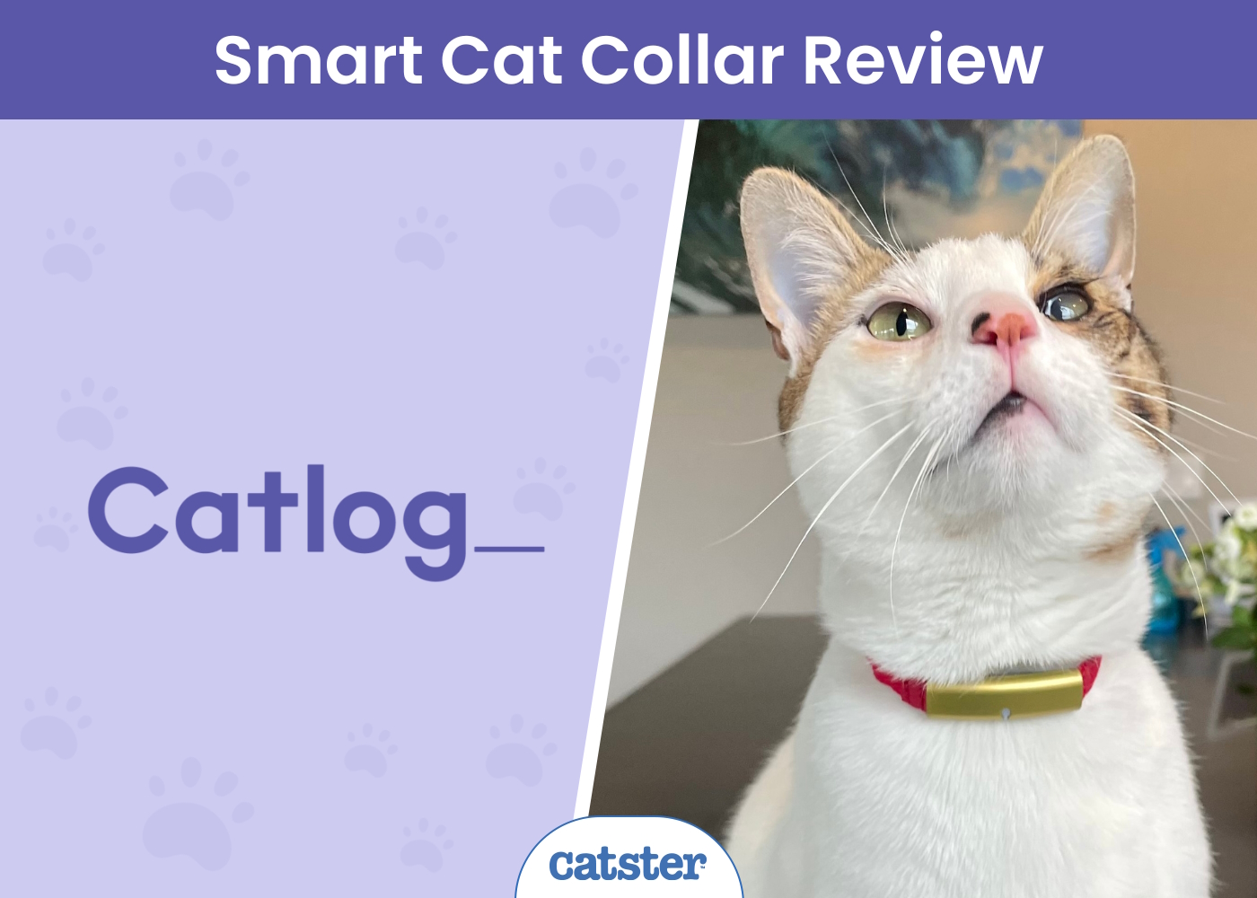 Catlog Smart Cat Collar
