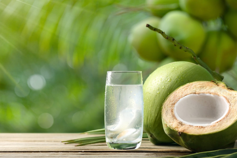 Can Cats Drink Coconut Water? Vet-Verified Nutrition Facts & FAQ
