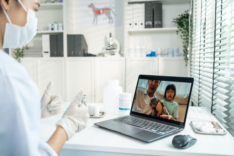 ongoing virtual veterinary consultation