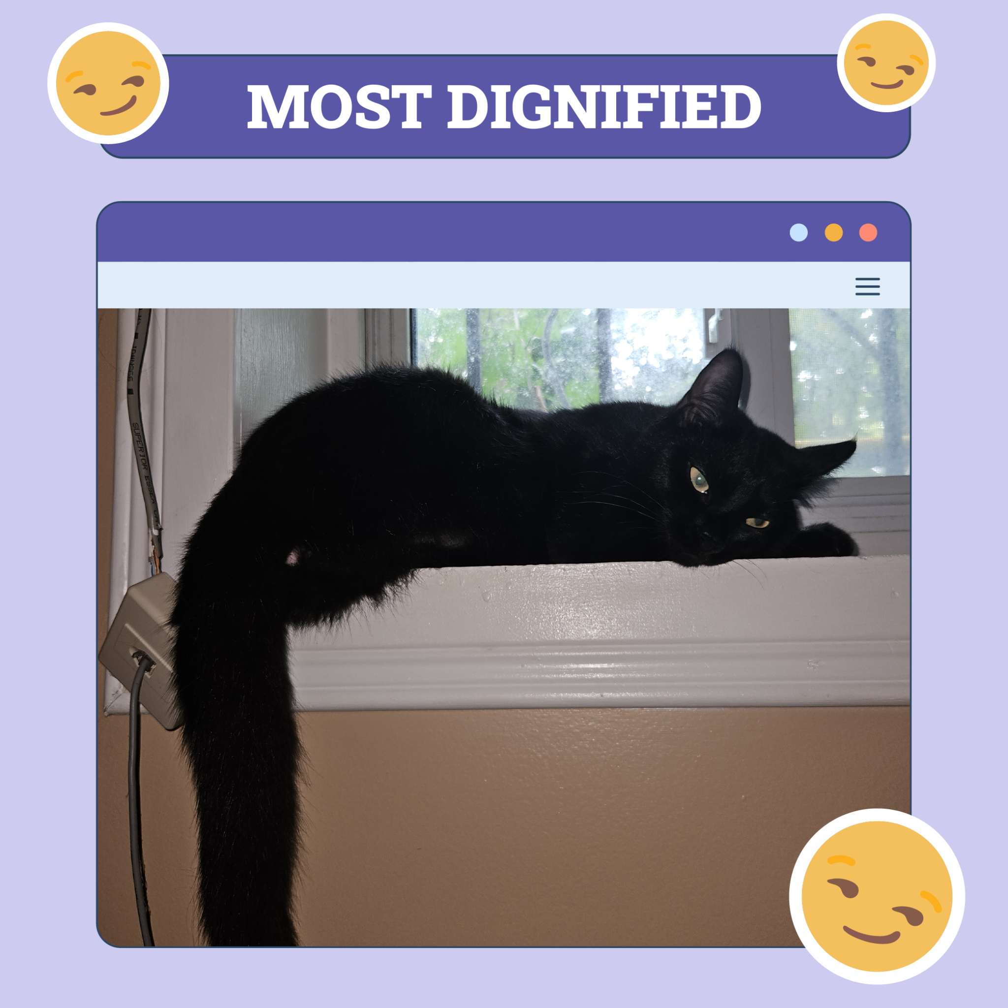 Most Dignified